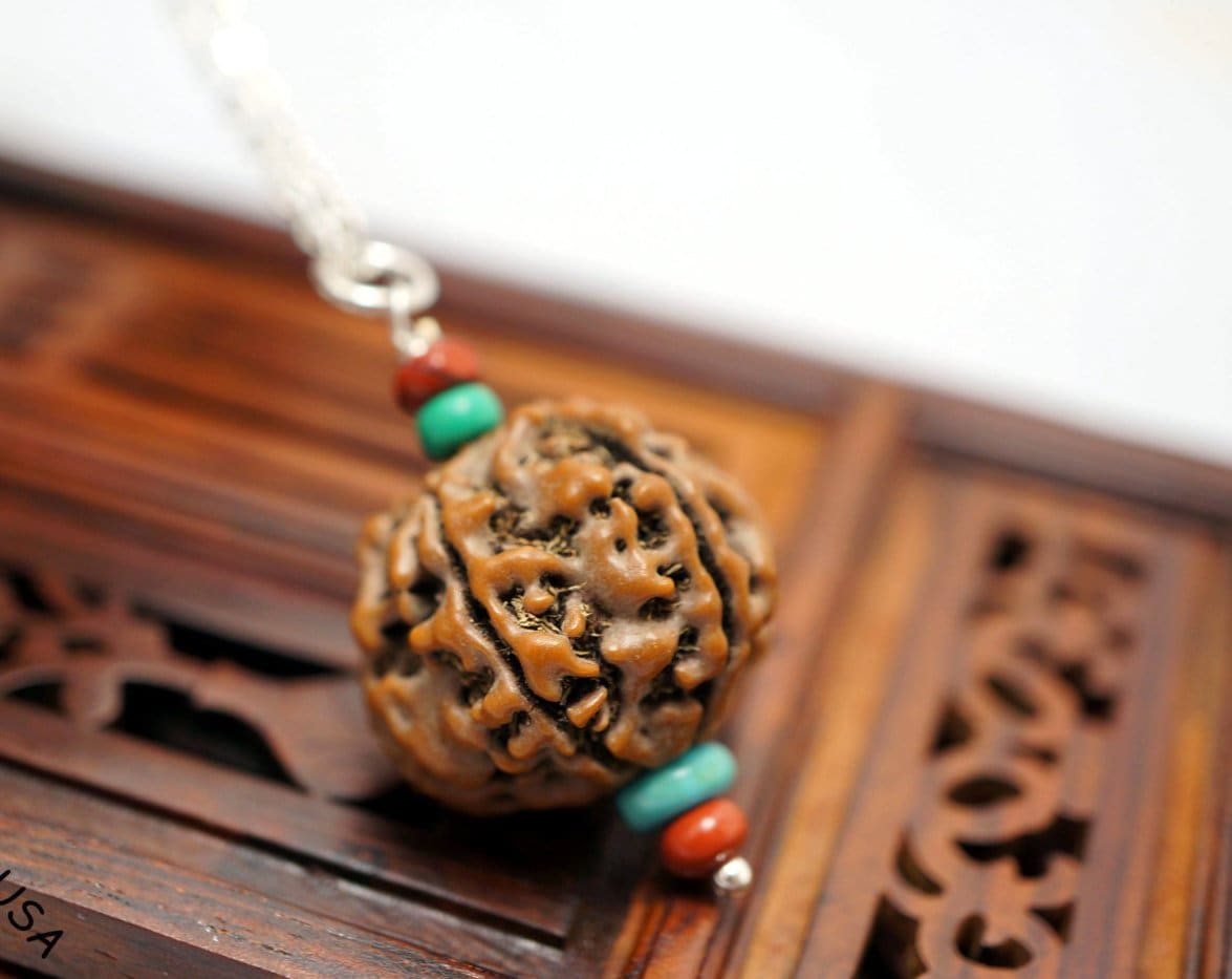 Rudraksha Bodhi Seed Pendant Necklace: Sterling Silver Chain, Turquoise & Jasper chunky stone jewelry #2011