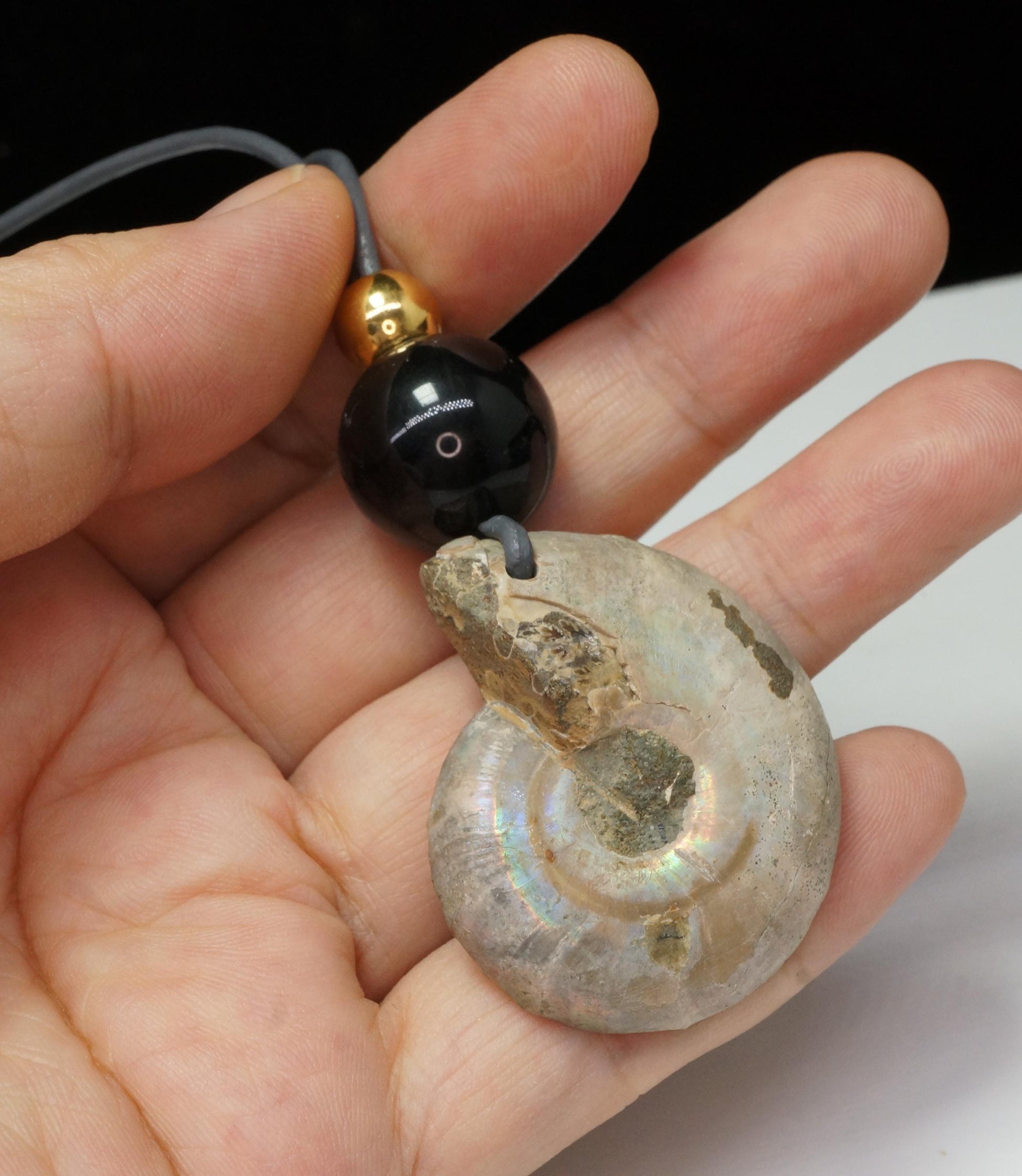 Geometric Ancient Ammonite Fossil Necklace, Chunky Natural Shell Pendant with Black Obsidian, Adjustable Leather Cord up to 30 inches #2558